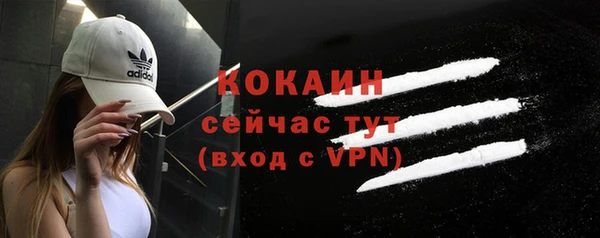 мдпв Струнино
